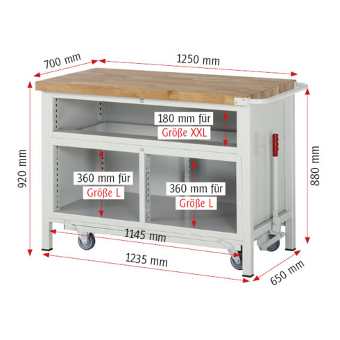 Rau Établi avec châssis 8921, T700×H880mm, 5 tiroirs-TA