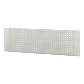 Rau Plaque perforée pour montage mural, B3000(2x1500)xP15xH450 mm