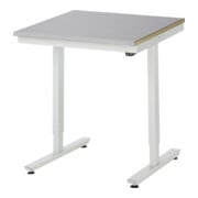 Rau Table de travail électrique réglable en hauteur H720-1120mm, plateau ES 28 mm
