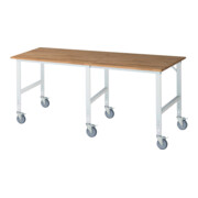 Rau Table de travail mobile (HV) Tom (6 LR), L2500xP1000xH910-1230mm, Plateau B 25mm
