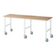 Rau Table de travail mobile (HV) Tom (6 LR), L2500xP800xH910-1230mm, plateau B-25mm-1