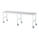 Rau Table de travail mobile (HV) Tom (6 LR), L3000xP800xH910-1230mm, Plateau M 22mm-1