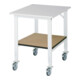 Rau Table de travail mobile (HV) Tom KM-01, L750xP1000xH910-1230mm, plateau M 22mm-1