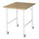 Rau Table de travail mobile Jerry (4 LR), L750xP1000xH900mm, plateau B-25mm-1