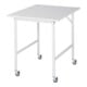 Rau Tavolo da lavoro mobile Jerry (4 LR), L750xP1000xA900mm, Piastra M 22mm-1