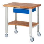 Rau Verrijdbare Werkbank in hoogte verstelbaar 7001A7, B1000xD700xH950-1000mm