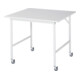 Rau Verrijdbare Werktafel Jerry (4 LR), B1000xD1000xH900mm, M-Plaat-22mm-1