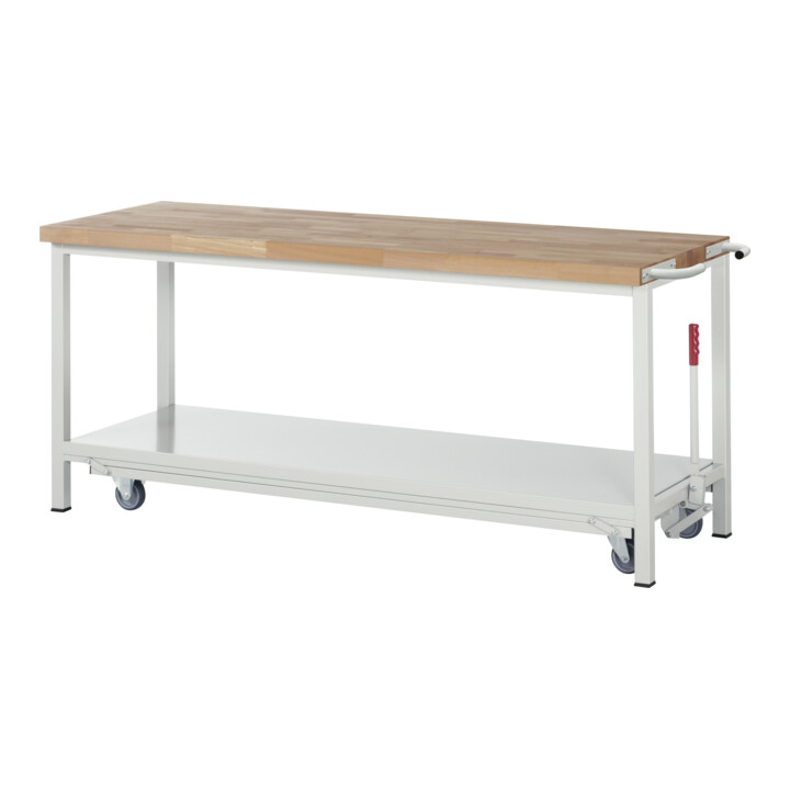 Set Rau Werkbank mit absenkbarem Fahrgestell + System-Aufbau Komplettset 01