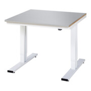 Rau Werktisch elektrisch höhenverstellbar, B1000xT1000xH720-1120mm, ES-Platte-28 mm