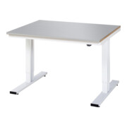 Rau Werktisch elektrisch höhenverstellbar, B1250xT1000xH720-1120mm, ES-Platte-28 mm