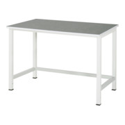 Rau Werktisch Linoleum-Platte BxTxH 1250x800x825 mm-1
