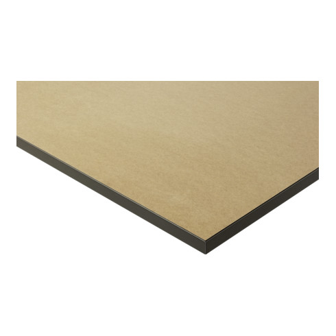 Rau Werktisch Modell 900 mit MDF-Platte HxT 825x800 mm