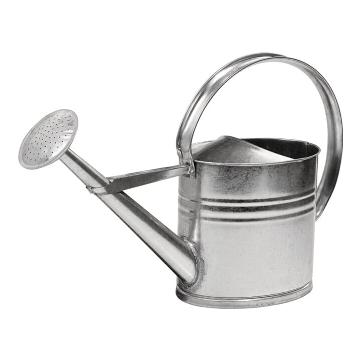Reflex Gießkanne 10l silber MET verz.