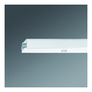 Regiolux Geräteträger Lichtmanagem.netlife SDBA1500, 84186580225-1