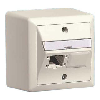 Reichle&De-Massari AP-Global-Dose 80x80, 2x1 Port 310786
