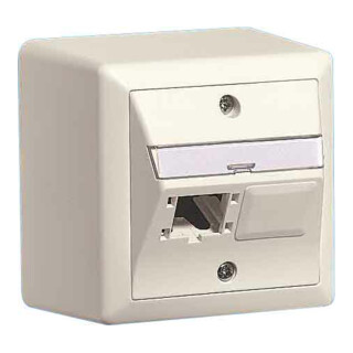 Reichle&De-Massari Boîtier AP Global 80x80, 2x1 port 310786