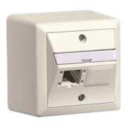 Reichle&De-Massari Boîtier AP Global 80x80, 2x1 port 310786-1