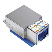 Reichle&De-Massari Module de connexion Cat.6, 1xRJ45/s 302372-1