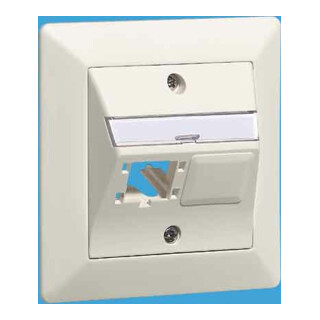Reichle&De-Massari UP-Global-Dose 88x88, 2x1 Port 310788