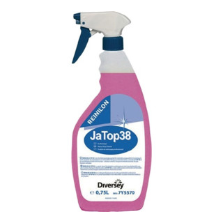 Reinilon Intensivreiniger 750ml JA-TOP38 i.Flasche Butylbasis