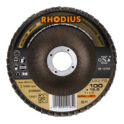 RHODIUS ALPHAline LSZ F2 Fächerschleifscheibe-3