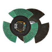 RHODIUS Disco abrasivo lamellare TOPline VISION COOL