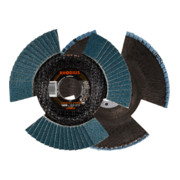 RHODIUS Disco abrasivo lamellare PROline VSION PRO-1