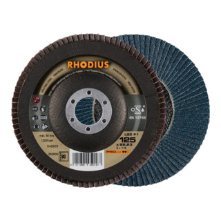 RHODIUS Disque abrasif lamellaire LGZ F1 125 mm K 80