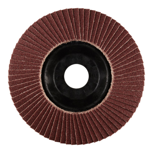 RHODIUS PROline LSA P1 Fächerschleifscheibe