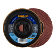 RHODIUS PROline LSA P1 Fächerschleifscheibe