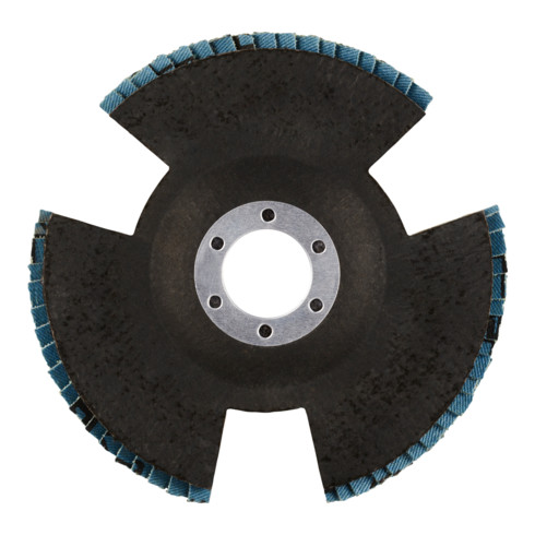 RHODIUS PROline VSION PRO Fächerschleifscheibe