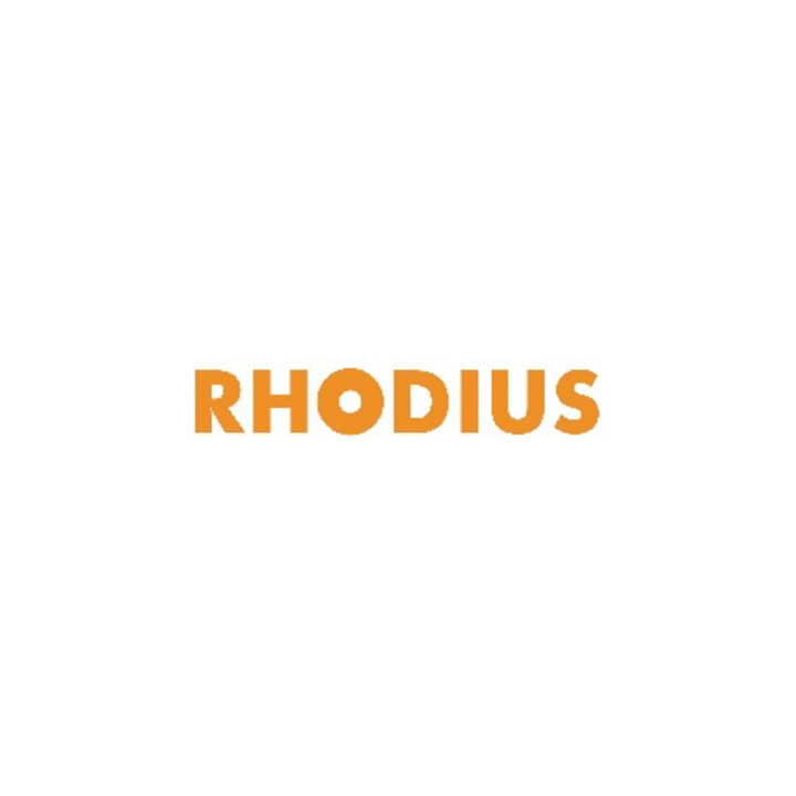Rhodius Schleifscheibe LSZ F2 Box Edelstahl Alphaline