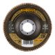 RHODIUS TOPline JUMBO LONGLIFE EXTENDED Fächerschleifscheibe-3