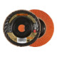 RHODIUS TOPline JUMBO LONGLIFE TRIM Fächerschleifscheibe-1