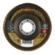 RHODIUS TOPline JUMBO SPEED G Fächerschleifscheibe-3