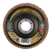 RHODIUS TOPline LSK FK Fächerschleifscheibe schräg-3