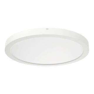 ridi LED-Downlight de rénovation DA65-260mm SARA290 NDW