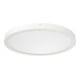 ridi LED-Sanierungs-Downlight DA65-260mm SARA290 NDW