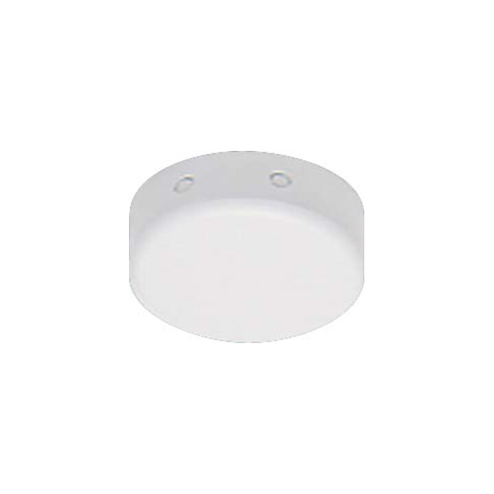 Ridi-Leuchten Boîte de sortie plafond DAD