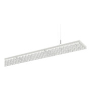 Ridi-Leuchten Suspension LED D/I 840, DALI LENSES-PDI#0637810-1