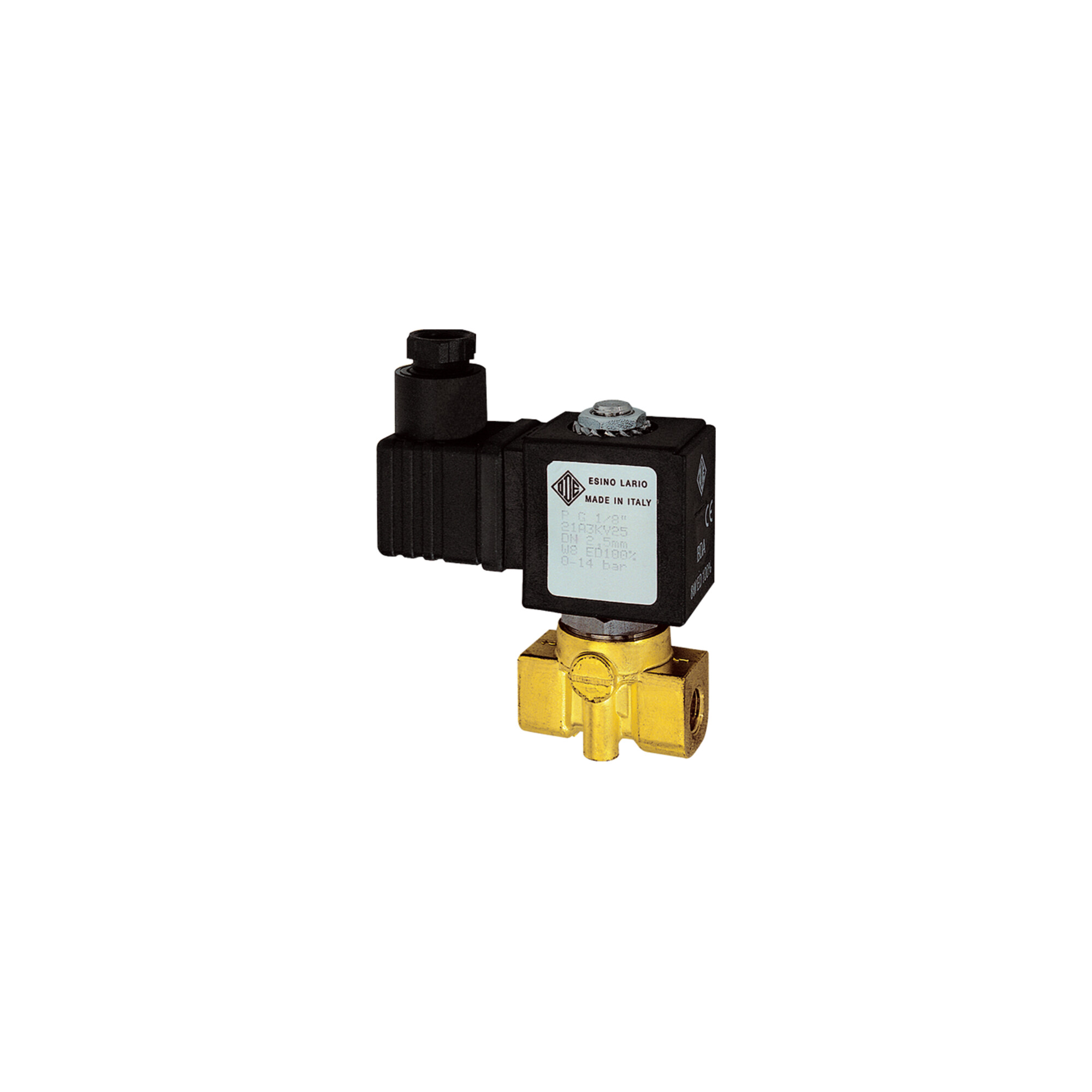 Riegler 2/2-MV, MS, NC, direktg., 24V DC, 8W, FKM, G1/4, PN0-6bar