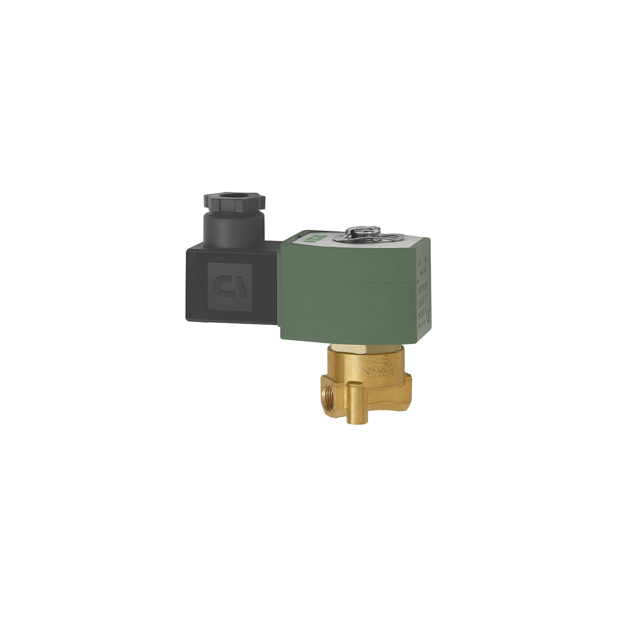Riegler 2/2-Wege-MV.,MS,NC,direktg. 230 V,50-60 Hz,FPM,G 1/8, PN 0-12 bar