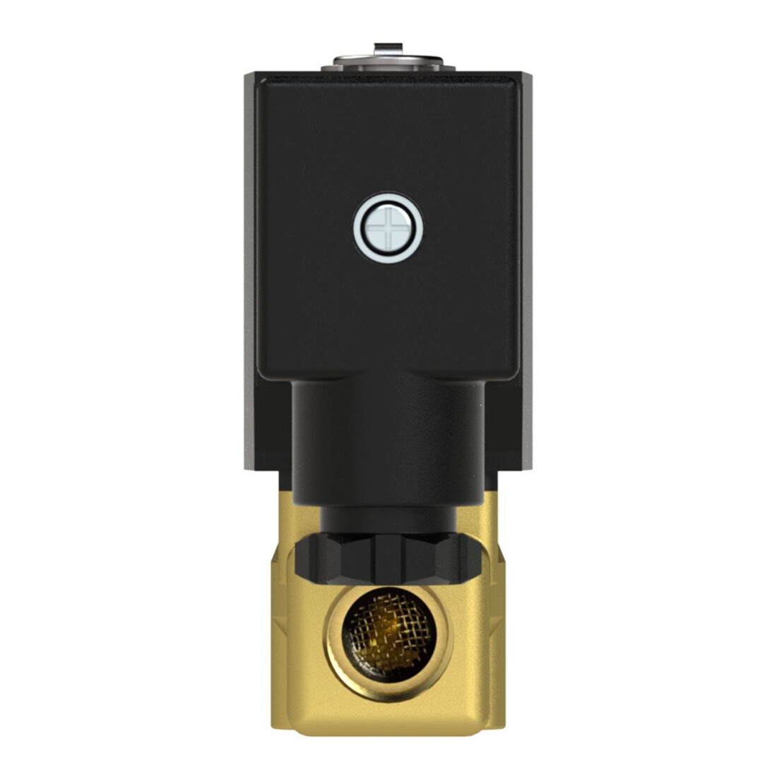 Riegler 2/2-Wege-MV., MS, NC, direktg., 24 V DC, G 1/8, PN 0-10 bar
