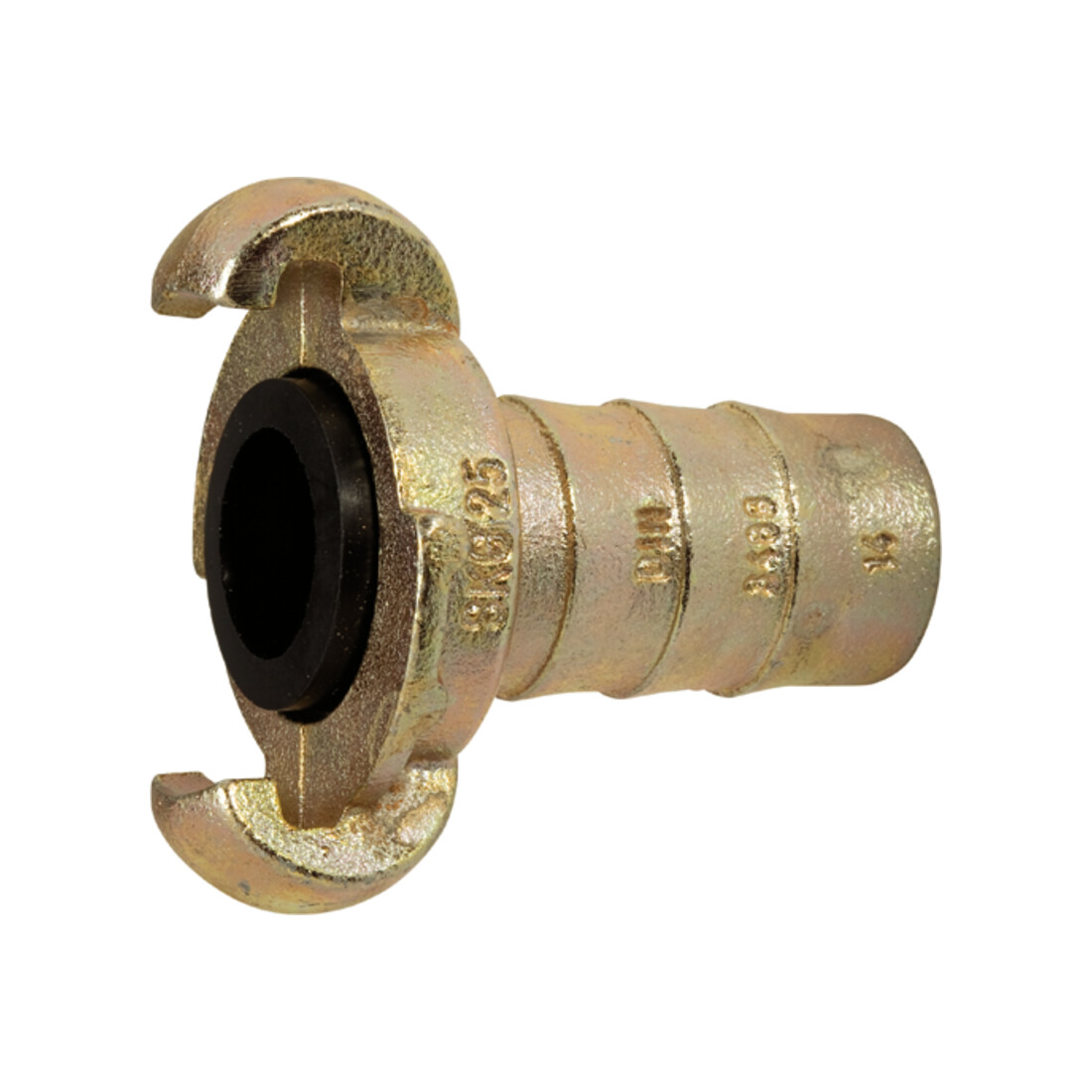 Riegler Accouplement à griffes avec raccord de tuyau, LW 25 (1"), DN 19