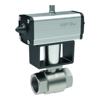 RIEGLER Robinet à bille en acier inoxydable avec entraînement pneumatique double effet