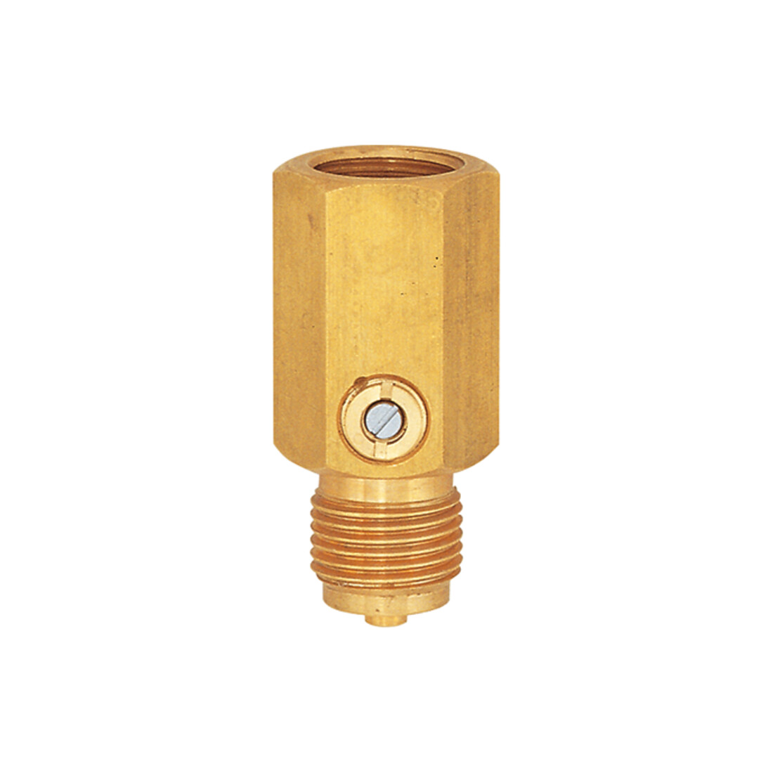 Riegler Amortisseur pour manomètre, G 1/2, PN 400 bar, en acier