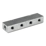 Riegler Barre de distribution, sorties d'un côté, entrée 2x1/8, sortie 4xM5-1