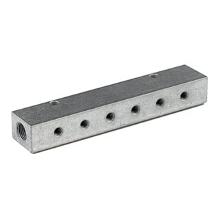 Riegler Barre de distribution, sorties unilatérales, entrée 2x1/4, sortie 2x1/8