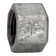 Riegler Bouchon 300, FI, Rp 1/4, fonte malléable noire galvanisée à chaud-1