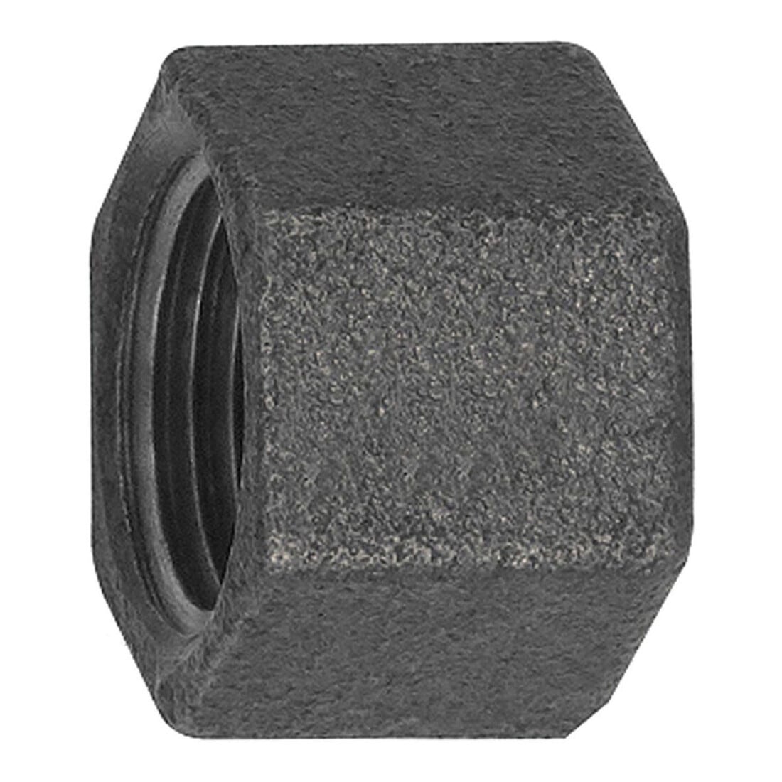 Riegler Bouchon 300, Rp 3/4 i. Fonte malléable noire